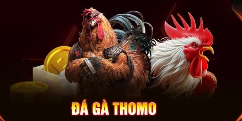 Bong vip - Địa điểm chơi game đá gà Thomo đầy kịch tính
