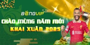 Bongvip - Hệ thống trò chơi phong phú cùng hoạt động hợp pháp