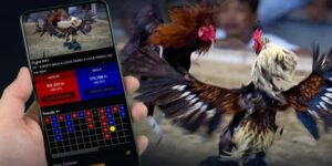 Sức nóng chưa từng hạ nhiệt của sảnh đá gà GA28 tại Mana88