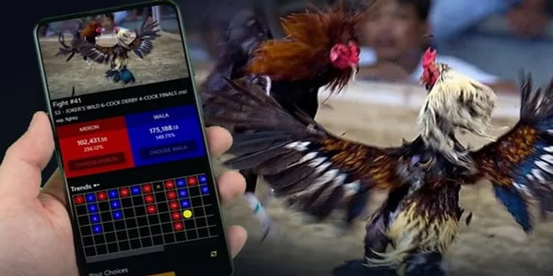 Sức nóng chưa từng hạ nhiệt của sảnh đá gà GA28 tại Mana88